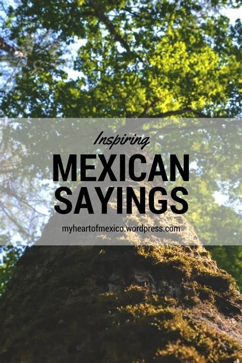 Inspiring Mexican Sayings Mexican Phrases Mexican Words Mexican
