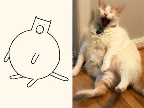 Our inspiration is our british shorthair cat named dita. This Instagram Account Posts Really Accurate Cat Drawings ...