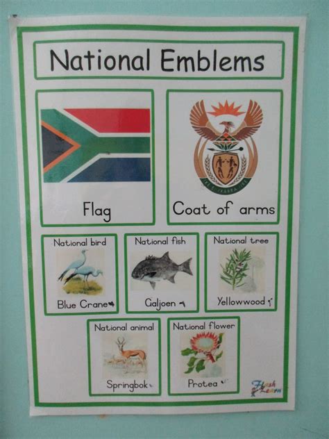 Murray And Candaces Adventures South Africas National Symbols