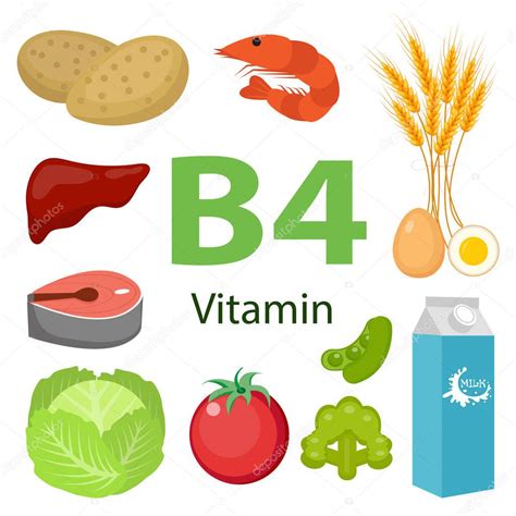Infografía Nutricional De Vitamina B4 Con Iconos Médicos Y Alimentarios