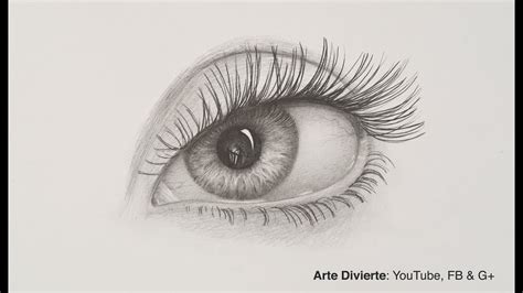Dibujo De Los Ojos Y Sus Partes Consejos Ojos