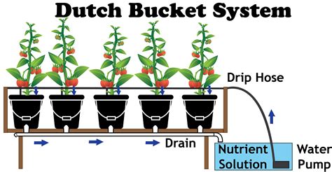 Dutch Bucket Systems Nosoilsolutions