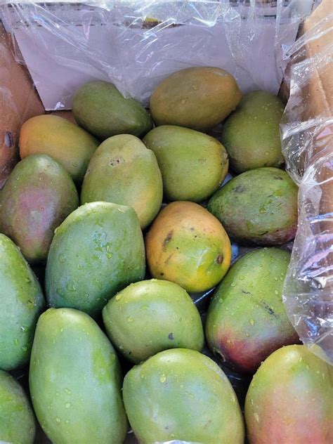 Jamaican East Indian And Julie Mangoes Now Available In South Florida
