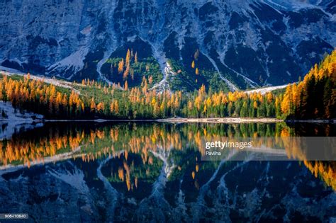 Mountain Rocks And Autumn Forest Reflected In Water Of Braies Lake