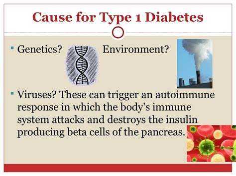 Cause For Type 1 Diabetes