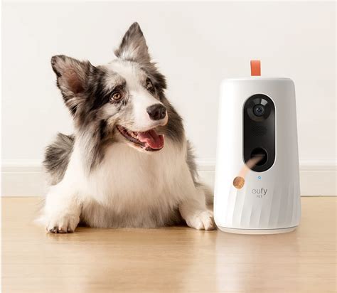 Furbo 360 Vs Eufy Pet Camera For Dogs