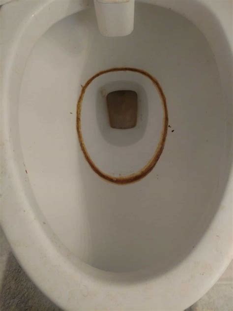 Why Your Poop Sticks On The Toilet And How To Stop It Toilet Haven