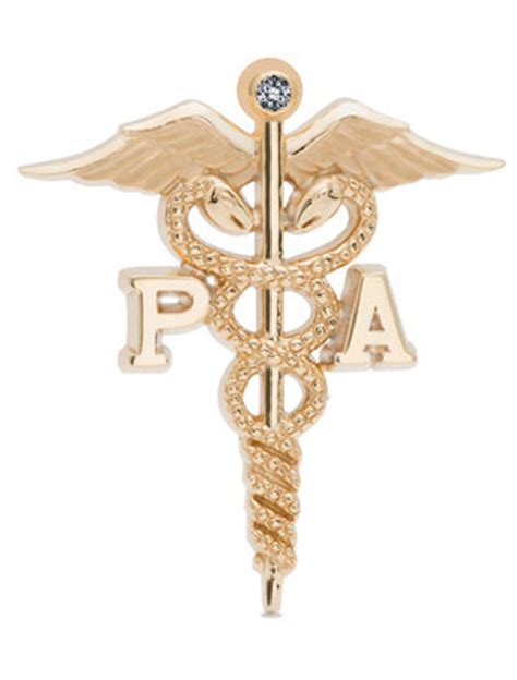 Physician Assistant Lapel Pin Charm Or Necklace In Sterling Silver