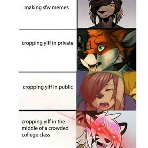 Making Sfw Memes Cropping Yiff In Private Cropping Yiff In Public