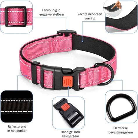 Halsband Hond Neon Roze Maat M Reflecterend Met