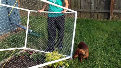 Growing up, we always had a backyard garden. Garden Fence - YouTube