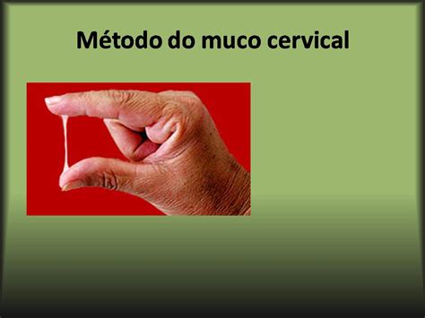 CAMISINHA NELES Método do muco cervical
