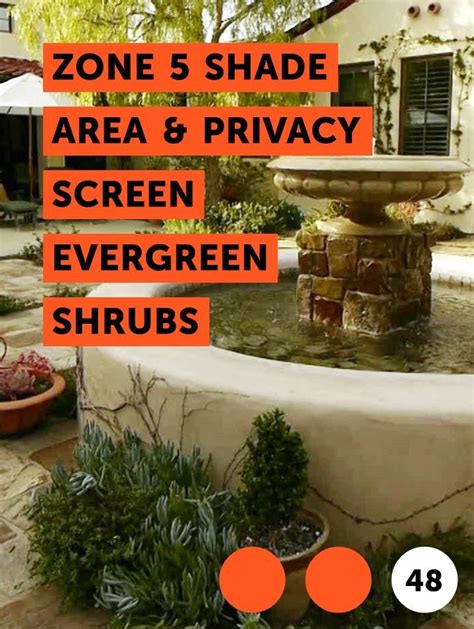 Zone 5 Shade Area And Privacy Screen Evergreen Shrubs Evergreen Shrubs