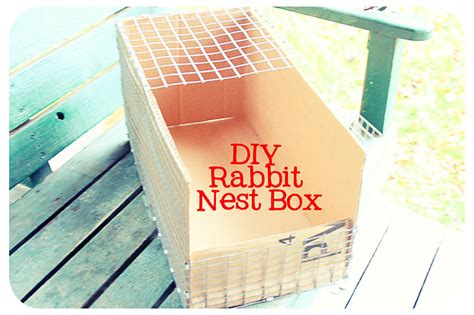 Diy Rabbit Nest Box Tutorial Bull Rock Barn And Home