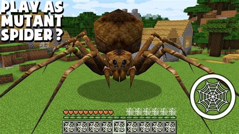 I Play As Mutant Spider In Minecraft Trolling As Real Spider