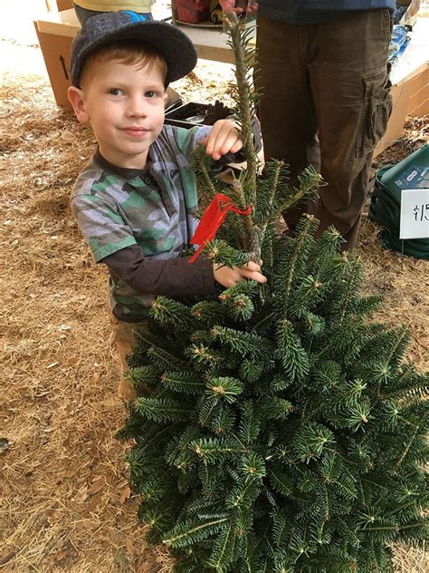 For over 25 years aunt leah's christmas tree lots have been raising money to fund programs that help prevent children in foster care from becoming homeless, and young mothers from losing custody. Gallery - Dave's Christmas Tree Lot