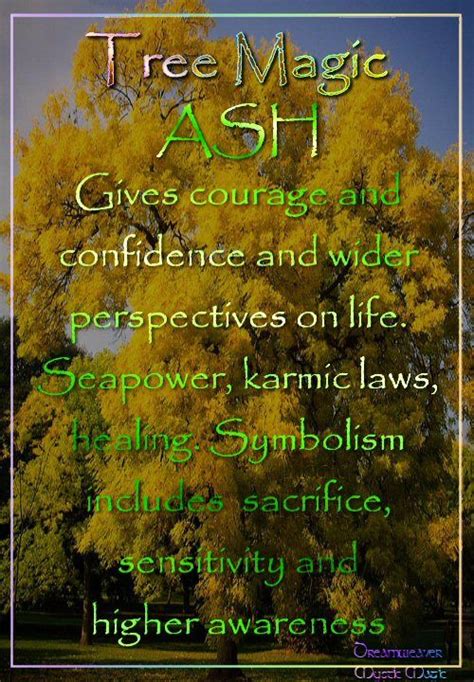 Ash Gives Courage And Confidence And Wider Perspectives On Life