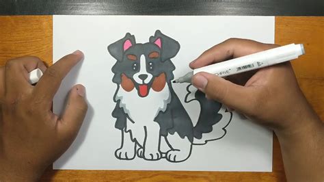 How To Draw Cute Australian Shepherd Step By Step Youtube