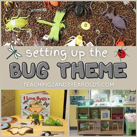 Setting Up The Toddler And Preschool Classroom For The Bug Theme
