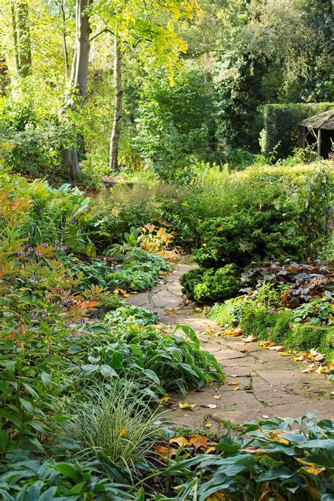 Woodland Gardens Photos 38 Wonderful Garden Ideas Easy To Create Page 18