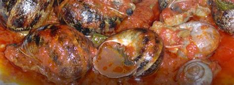 Vendo lumache municeddi sveglie a pascolo, per allevatori che devono farle ingrassare e impannare, le specie di lumache che vendo sono 30/01/21. Monacelle alla pugliese: zuppa delle lumache di terra