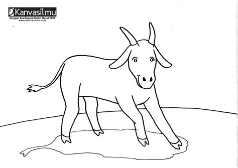 Mewarnai Gambar Hewan Qurban