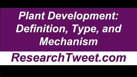 Plant Development Definition Type And Mechanism Youtube