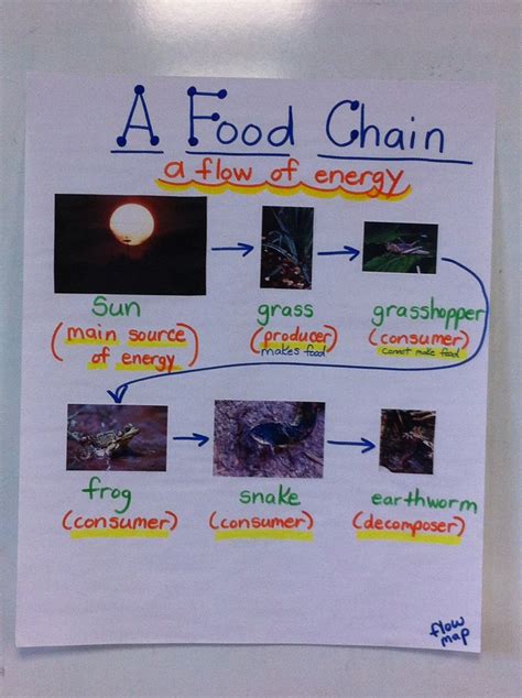 17 Best Images About Anchor Charts By Gcisd Instructional