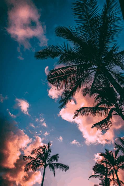 50 Gorgeous Beach Wallpaper Iphone Aesthetics That Are Free
