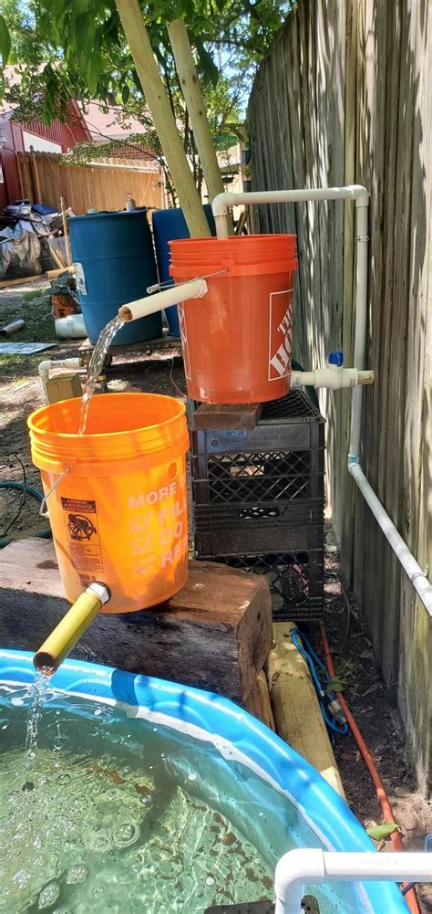 Check spelling or type a new query. Backyard Duckpond with DIY filtration system | Duck house ...