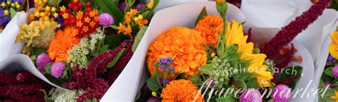 Was established in 2000 and has been recognized as a premier florist in the area ever since. Home - Melrose Flower Market, gifts, biltong and treats