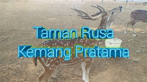 Taman rusa kemang pratama · 4. Taman Rusa Kemang Pratama Kota Bks, Jawa Barat - Rekreasi ...