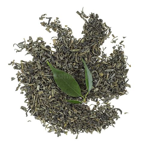 Dry Green Tea With Fresh Tea Leaves Isolated On White Stock Photo