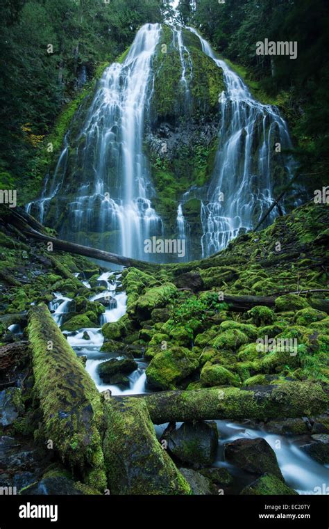 Proxy Falls Waterfall On The Mckenzie River Eugene Oregon United