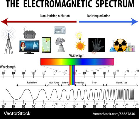 Science Electromagnetic Spectrum Diagram Vector Image