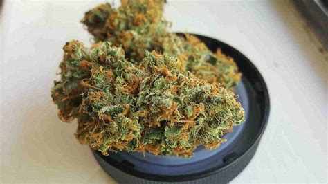Best Weed Strains Of 2020 Top 10 Strains For Smoking And Growing