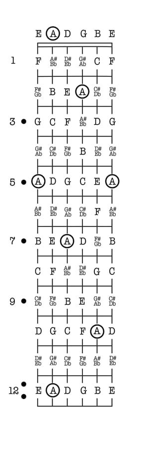 Bass guitar 5 string 144 notes. Learning the Guitar Fretboard Notes BONUS: Guitar Notes Chart