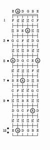 Learning The Guitar Fretboard Notes Bonus Guitar Notes Chart