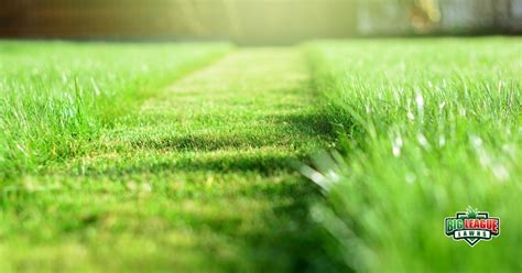 Smart Mowing Tips For A Lush Green Lawn Big League Lawns