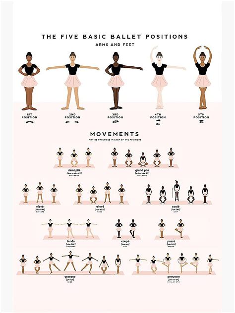 Ballet Dancers The Five Basic Ballet Positions Arms And Feet Poster