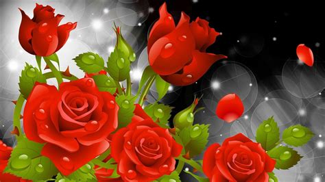 Red Rose Dil Hd Wallpapers Wallpaper Cave