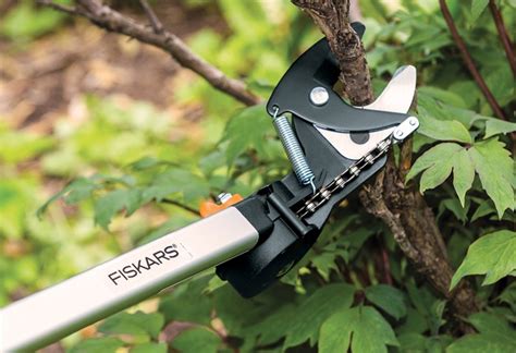Best Tree Pruner Of 2023 For Your Yard Tree Pruners Reviews