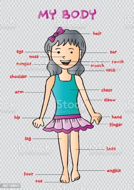 My Body Educational Info Graphic Chart For Kids Showing Parts Of Human Body Of A Cute Cartoon