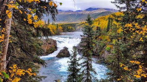 Best Time To See Alaska Fall Colors 2022 When To See Roveme