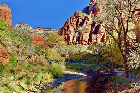 Virgin River Near The Grotto In Zion National Park Utah Photograph By