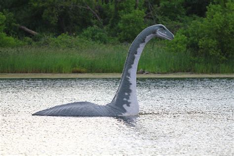 Curiouslystrange Facts The Truth Behind The Loch Ness Monster