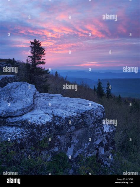 Sunrise Over Bear Rocks At Dolly Sods Wilderness In The Allegheny