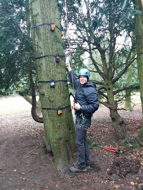 Tree Climbing Blackwell Adventure