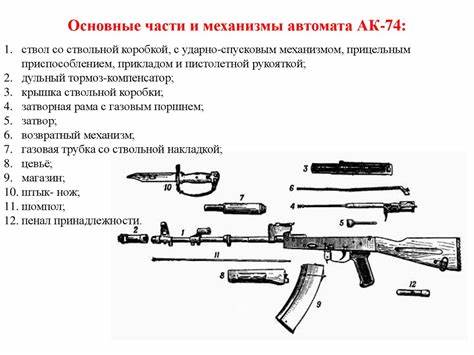 Сколько основных диет разработано