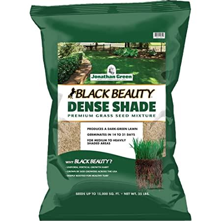 Amazon Com Jonathan Green Black Beauty Original Grass Seed Blend Cool Season Lawn